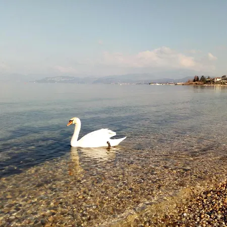 Garda Star Cavalcaselle